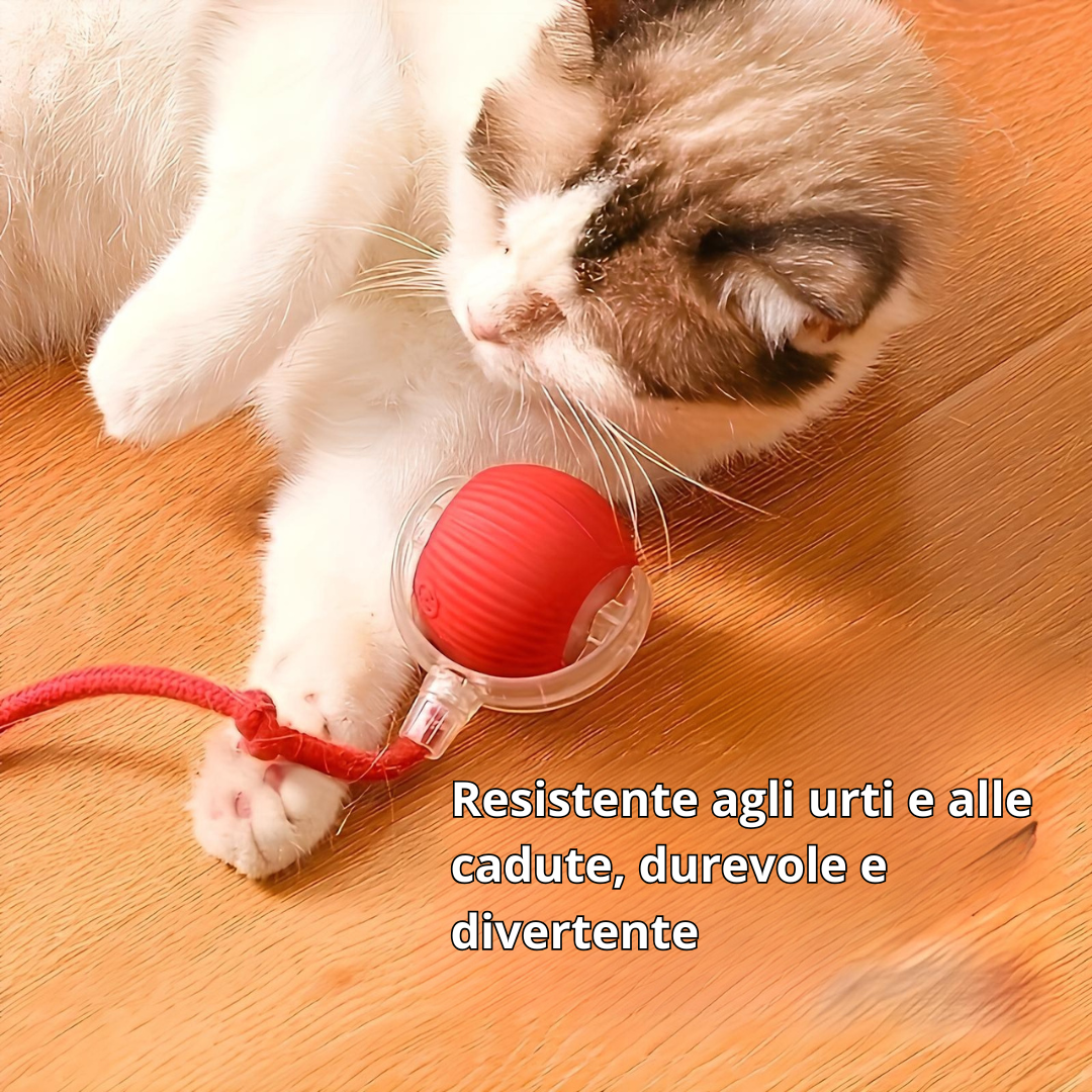 🐾 Zampik® 😻 + E-BOOK 📚